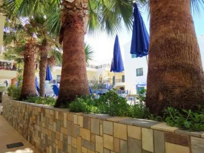 Diogenis Blue Palace - 38