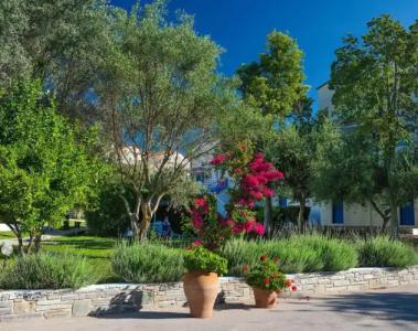 Grand Bleu Beach Resort - 29