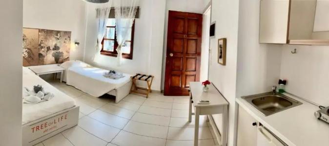 Tree of Life Art - 42