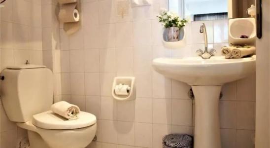 Tree of Life Art - 9