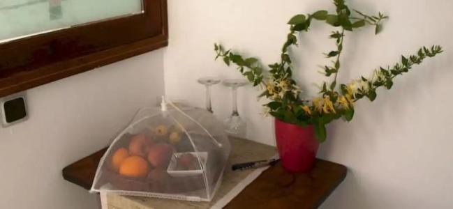 Tree of Life Art - 4