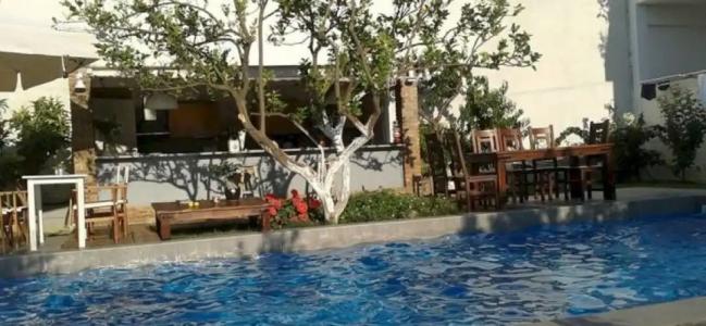 Tree of Life Art - 17