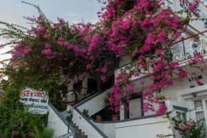 Fevro Hotel, Агиа Галини