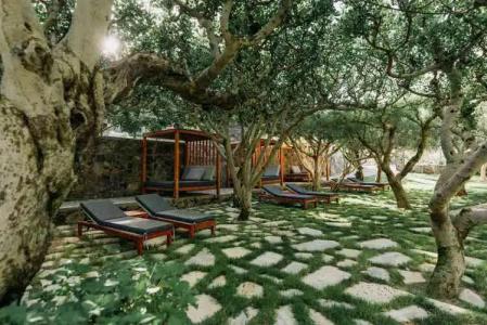 Paralos Irini Mare - 29