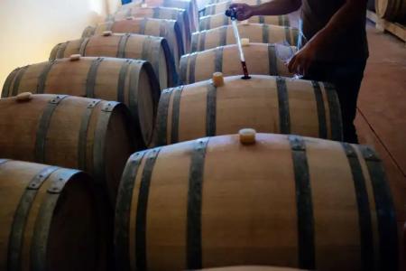 Paralos Irini Mare - 19