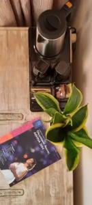 Olympic Fashions - 78