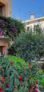 Olympic Fashions - 41