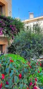 Olympic Fashions - 45