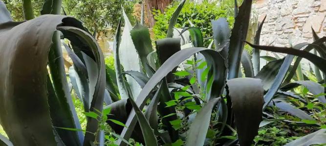 Olympic Fashions - 28