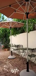 Olympic Fashions - 52