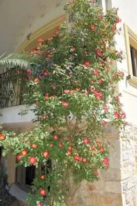 Olympic Fashions - 47