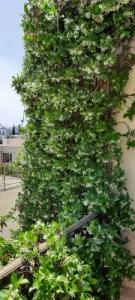 Olympic Fashions - 73