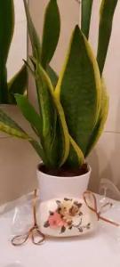 Olympic Fashions - 25