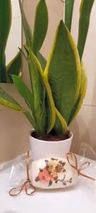 Olympic Fashions - 24