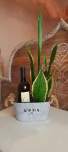 Olympic Fashions - 74