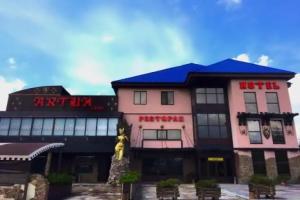 Отель «Артуа»