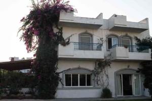 Gorgona Hotel, Амудара