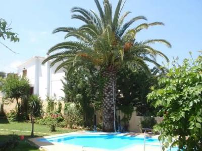 Alexandros Studios - 7