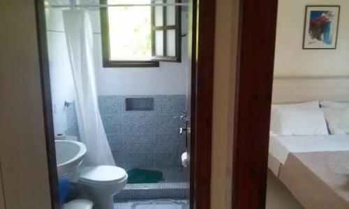 Alexandros Studios - 22