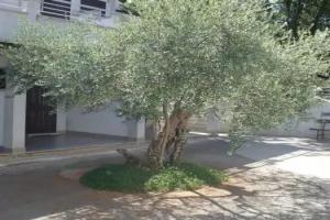 Resort Zatišje, Савудрия