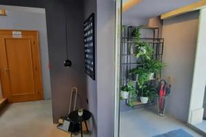 Hotel «Vila Lili», Ровинь