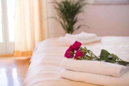 Villa Sveta Eufemija - Bed and breakfast - 17