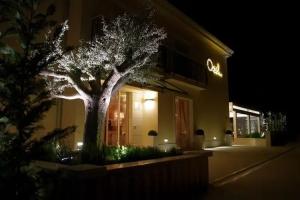 Boutique Hotel Oasi, Пула