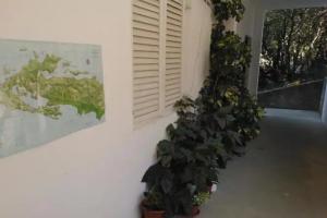 Guest House Radulj, Полач