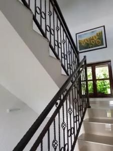 Pansion Breza - 8