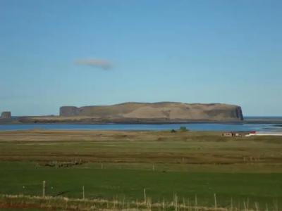 Reynir - 15