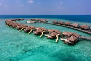 Отель «Ozen Reserve Bolifushi - Luxury All Inclusive»