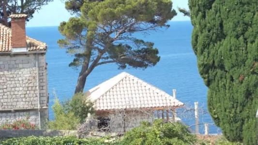 Villa Elly - 40