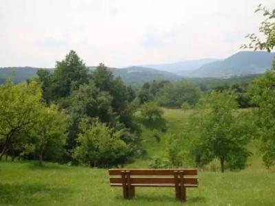 Guest house Jandric - 7