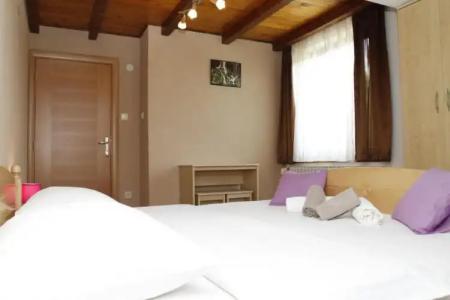 Guest house Jandric - 21