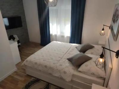 Guest house Jandric - 14