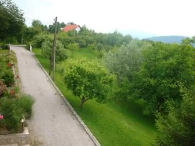 Guest house Jandric - 0