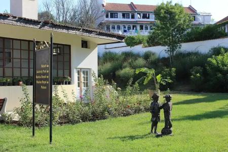 Duni Pelican - All Inclusive - 0