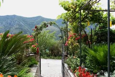 Villa Dobrota - 0
