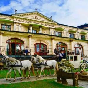 Pałac na wodzie Falkowski Medical & SPA & Conference - 17