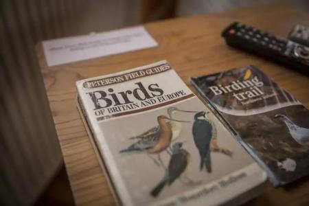 Hestasport Cottages - 75