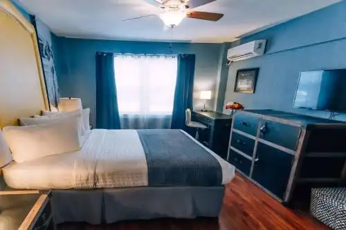 Hollander - Downtown St. Petersburg - 7
