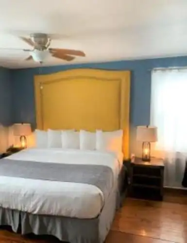 Hollander - Downtown St. Petersburg - 11