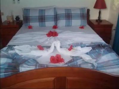 Seashell Self Catering - 3