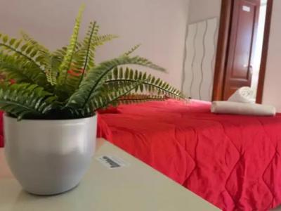 Fiumicino Inn Airport - 2