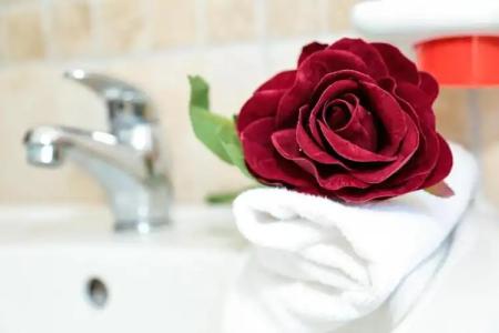 Fiumicino Inn Airport - 19