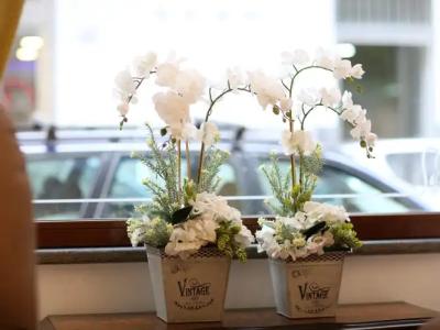 Vergilius Billia - 6