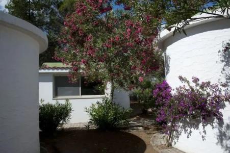 Villaggio Capo Vieste - 31