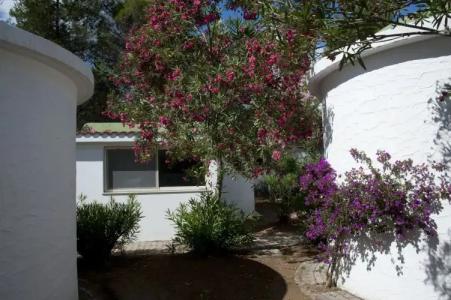 Villaggio Capo Vieste - 18