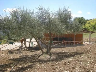 Agriturismo Goccia di Luna - 6