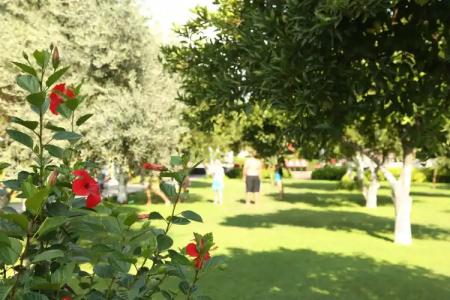 Garden Resort Bergamot - 30